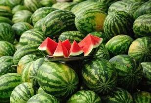 西瓜籽瓜如何吃,西瓜籽瓜的多样食法探索