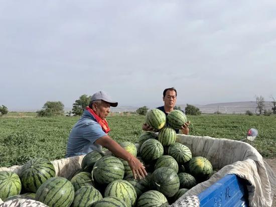 三旅吃瓜,揭秘旅行中的美食诱惑与趣事