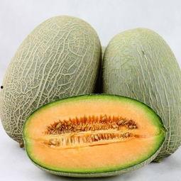 吃蝎子可以吃哈密瓜,邂逅哈密瓜的独特风味