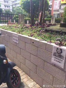 吃瓜群众搞笑标语,吃瓜群众搞笑标语大盘点