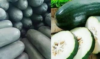 西昌吃瓜6个,揭秘背后的真相与反思