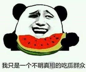 韩语吃瓜君,吃瓜君带你领略韩国美食文化