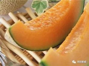 哈密瓜吃瓜哥是谁啊,网络红人的崛起之路