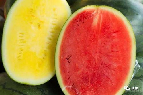 高岭吃瓜,揭秘娱乐圈背后的秘密与真相