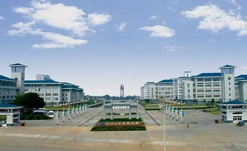 武汉东湖学院吃瓜,校园“吃瓜”风云录