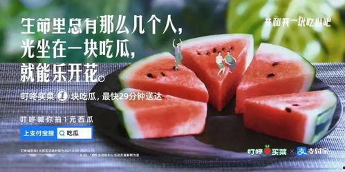 吃瓜贪吃文案,贪吃无度，揭秘夏日美食狂欢之旅