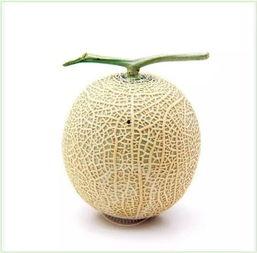 两次吃瓜,两次吃瓜背后的故事揭秘