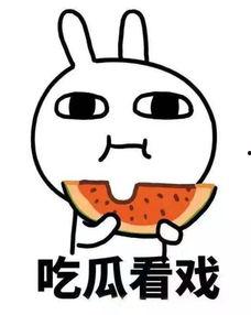 离婚吃瓜,娱乐圈的瓜田效应