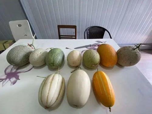 吃瓜塞嘴里,揭秘日常生活中的小确幸