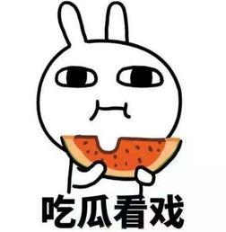 吃瓜视频在哪看到,吃瓜视频平台，带你轻松获取热门资讯