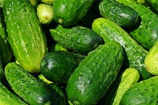 梦到邻居摘瓜吃瓜,一场梦中的摘瓜盛宴