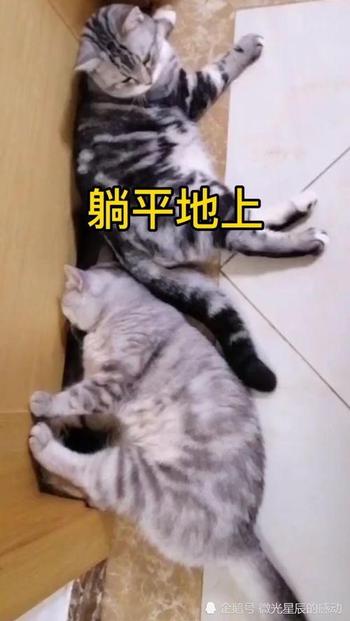 带你吃瓜之躺平发育,带你探索新时代的“吃瓜”文化现象