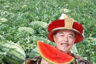 皇上吃瓜杀瓜农,吃瓜杀瓜农的宫廷谜案