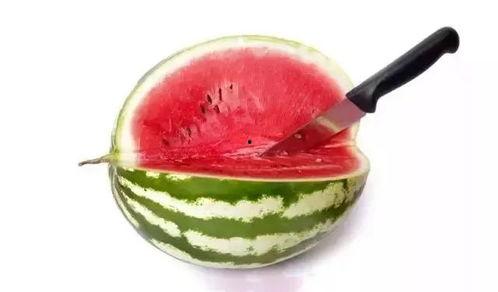 吃各种高档的瓜,探寻高档瓜果的美食之旅