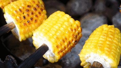 苞米公主吃瓜,苞米公主的甜蜜瓜果时光