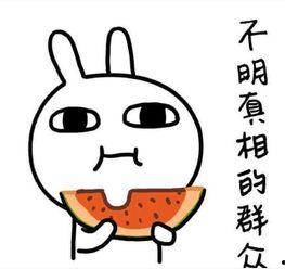 立冬吃瓜短句搞笑,吃瓜短句乐翻天