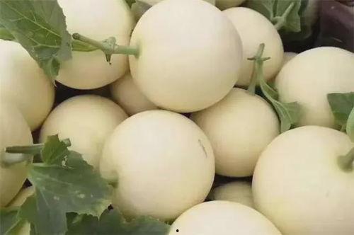 吃瓜 典故,从古至今的典故解读