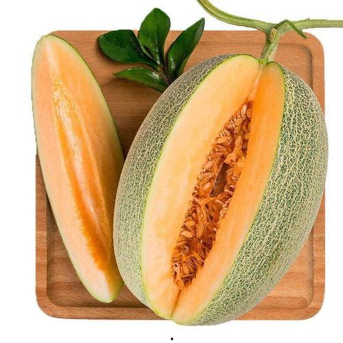 吃货小伟测评哈密瓜,吃货小伟带你领略甜蜜诱惑