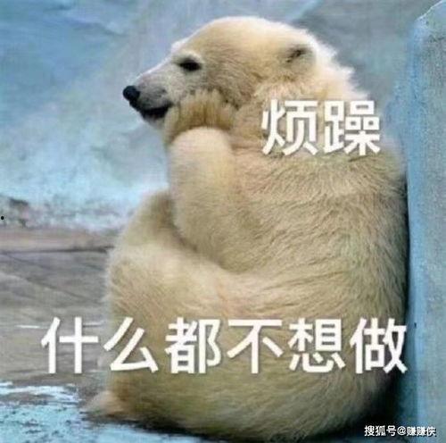 吃瓜群众退钱图片