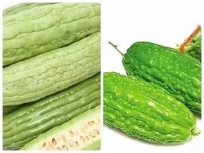 瓜怎么吃不苦,解锁甜蜜口感的小技巧