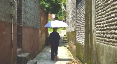 松阳吃瓜群众事件,网络舆论的风暴与反思