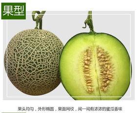 留香蜜瓜是玫珑瓜吗怎么吃