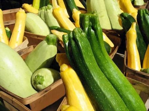 吃瓜情报处什么职业,揭秘幕后职业的神秘面纱