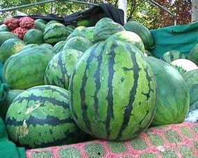 吃瓜的老陈,揭秘娱乐圈那些不为人知的幕后故事