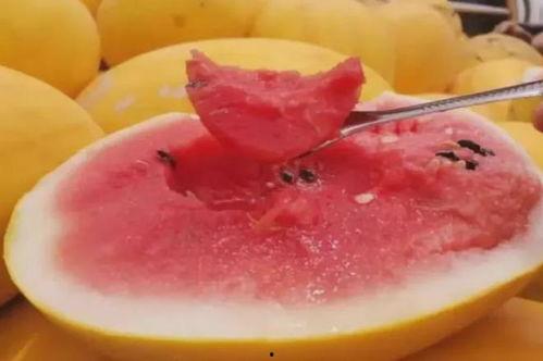 吃瓜小蜂蜜,揭秘吃瓜小蜂蜜的甜蜜生活