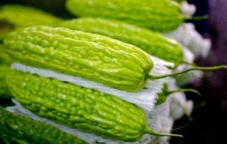 孕妇可以吃矮瓜吗,孕妇适宜食用矮瓜的营养指南