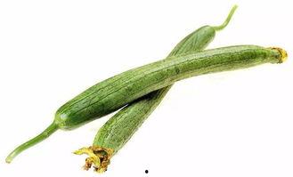 吃瓜丝瓜怎么画,绘制夏日清新美食插画