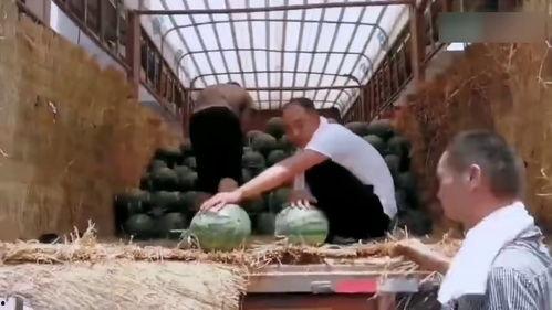 村民吃瓜现场视频大全