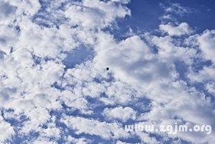 梦到吃云瓜,揭秘吃云瓜的奇幻之旅