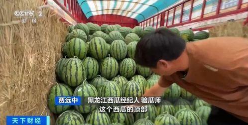 坎儿井吃瓜,探寻新疆独特灌溉文化的魅力