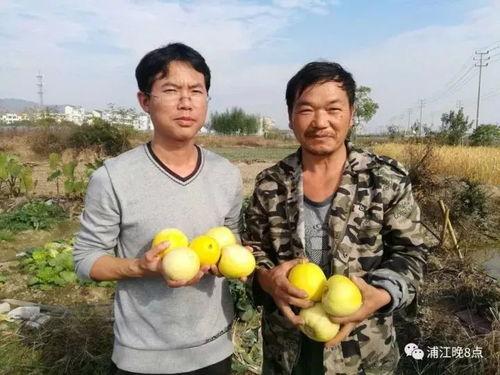 王老师吃瓜真实缅北,真实缅北吃瓜事件背后的故事